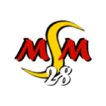 msm-28